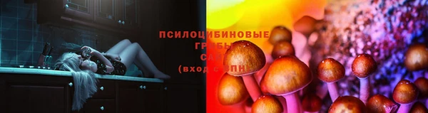 jwh Новозыбков