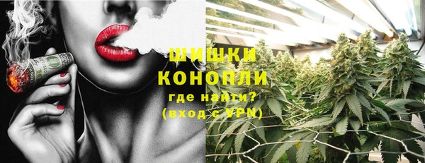 крисы Бородино