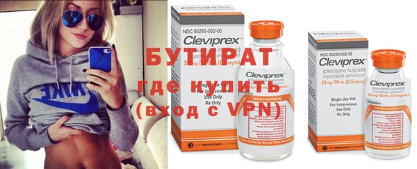 шишки Белая Холуница
